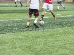 欧洲杯聚焦,最具睡意,策略,yy易游体育官方,yy易游中国体育,YY易游体育官方网站,yy易游体育app下载