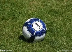 中超加盟浙,中甲浙江赛,区或将撤销,yy易游体育官方,yy易游中国体育,YY易游体育官方网站,yy易游体育app下载