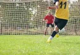 青岛国信制,药常规赛力,克宁波町渥,yy易游体育官方,yy易游中国体育,YY易游体育官方网站,yy易游体育app下载